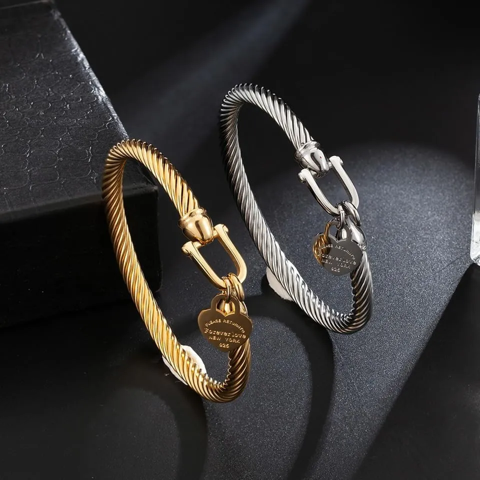 361L Titanium Stainless Steel Bangles Bracelets Charm Gold Color Cable Wire Cuff Heart Pendant Bracelet For Women Jewelry