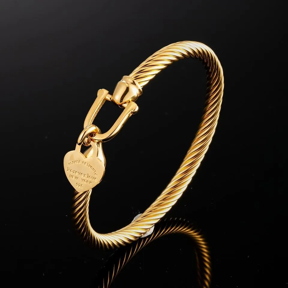 361L Titanium Stainless Steel Bangles Bracelets Charm Gold Color Cable Wire Cuff Heart Pendant Bracelet For Women Jewelry