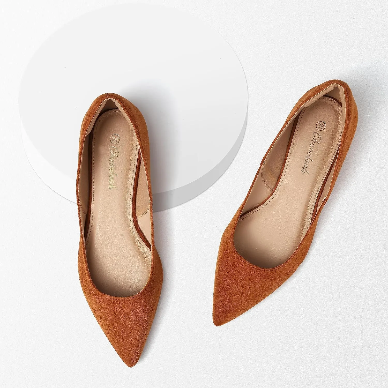 Womens Pointed Toe Black Ballet Flats Comfortable Casual Dress Flats for Women Elegant Memory Foam Flats Shoes with Party Wedding